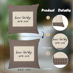 How Lucky are We Brown Gingham Pillow Cover 18x18, Trendy Minimalist Home Decor - Image 2