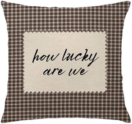 How Lucky are We Brown Gingham Pillow Cover 18x18, Trendy Minimalist Home Decor by Unknown