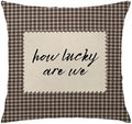 How Lucky are We Brown Gingham Pillow Cover 18x18, Trendy Minimalist Home Decor by Unknown