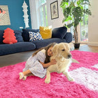 OLANLY 9x12 Machine Washable Large Area Rugs - Image 5