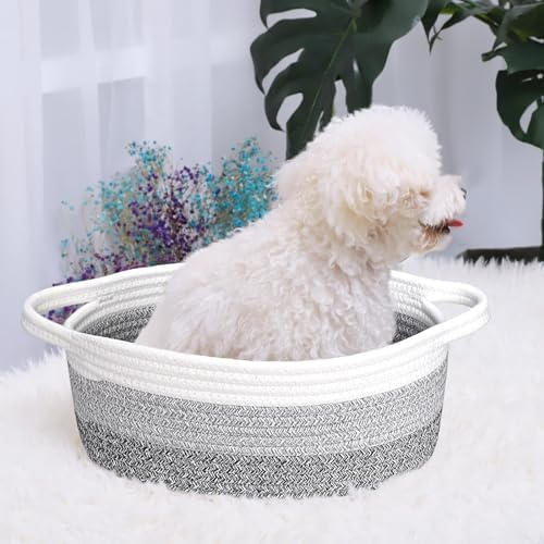 ABenkle Small Basket with Handles, Boho Decorative Rope Woven Dog Cat Toy - Image 5