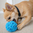 Glory To Dog Puppy/Small Breed Snuffle Dog Puzzle Ball Toy Blue Extra Small - Image 5