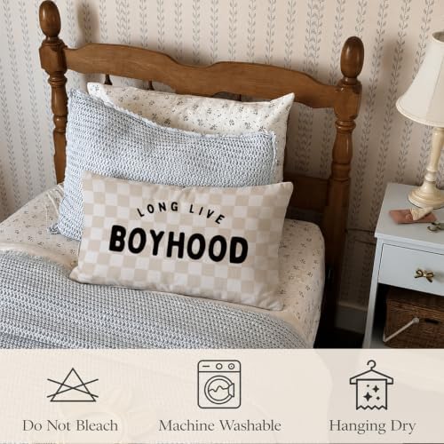 Boys Room Decor 12x20 Pillow Cover, Long Live Boyhood Retro Neutral Checkered - Image 5