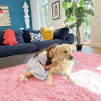 OLANLY 5x7 Machine Washable Large Area Rugs - Image 6