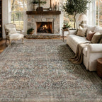 JOLLYVOGUE 8x10 Area Rugs for Living Room, Vintage Washable Rug by JOLLYVOGUE