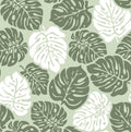 Sage Green White Monstera 5x7 Area Rugs High-Low Plush Pile Washable by ArenaRug