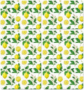 Lemon Placemats Set of 6 Summer Plastic Table Mat 17×13×0.04in by OBUSATT